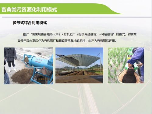 畜禽产业要发展,污染环境必严惩