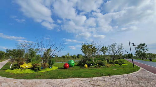 优化营商环境精准服务招引需求