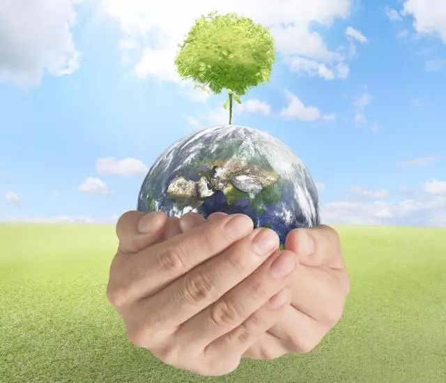 保护生态环境 创造美好生活丨海南鲁能物业党员服务队在行动