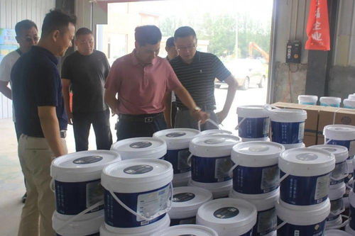 7月 8月 金保姆贝壳粉品牌成长大事记