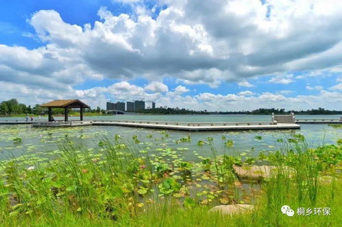 您是桐乡生态环境代言人,接听 0573 12340 ,可以这样回答哦