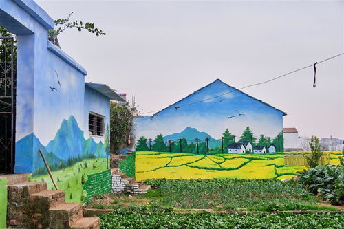 3d墙体彩绘扮靓美丽乡村凤凰网湖北 凤凰网
