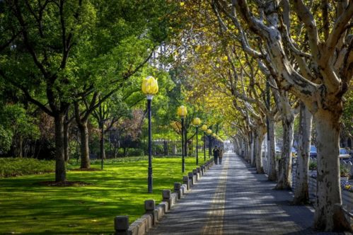 创全，我们都是答卷人 环境篇