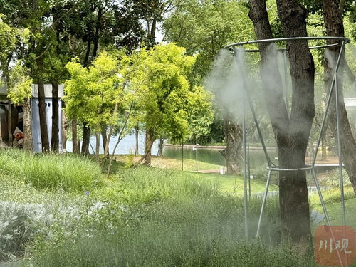 行业透视镜 成都商业体积极拓展 体验与情绪价值驱动年轻态消费环境