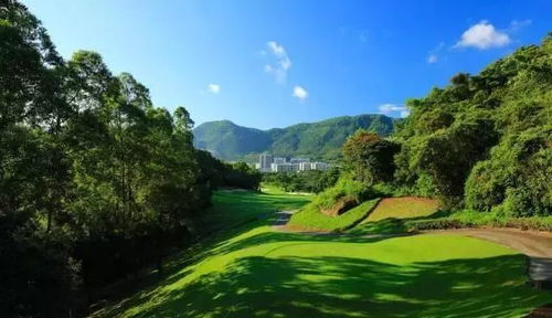 深圳新医院开放 如诗如画的疗愈环境，不生病也值得一游