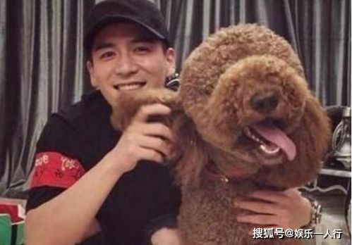 魏千翔的温馨家居空间 壁纸装修营造舒适生活氛围