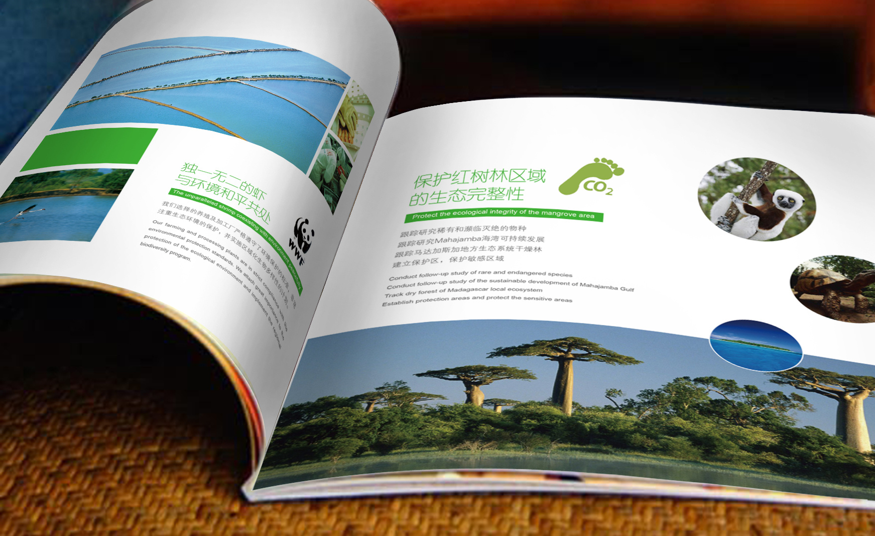 海洋之韵 精美海产品画册的设计艺术与环境融合